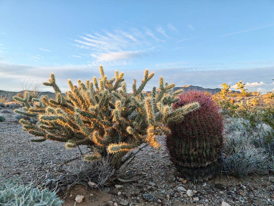 Ein Testfoto mit dem Honor Magic8 Pro (Hauptkamera)