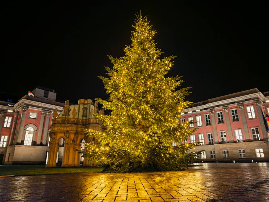 Ein Testfoto mit dem Honor Magic8 Pro (Hauptkamera)