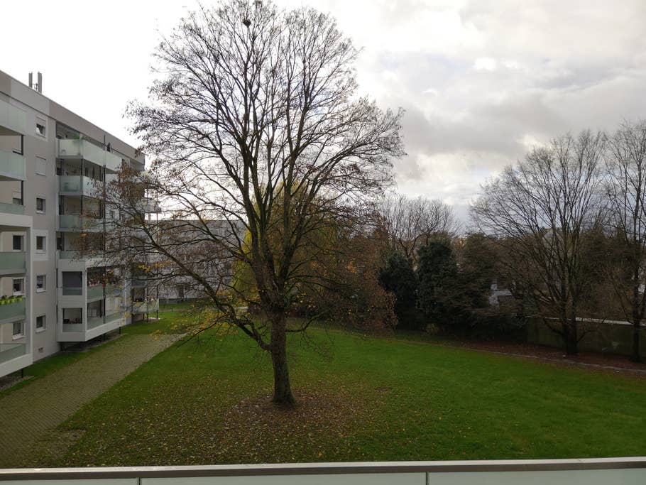 Ein Wohnblock mit einem Baum und Wiese davor, ohne AI-Unterstützung fotografiert