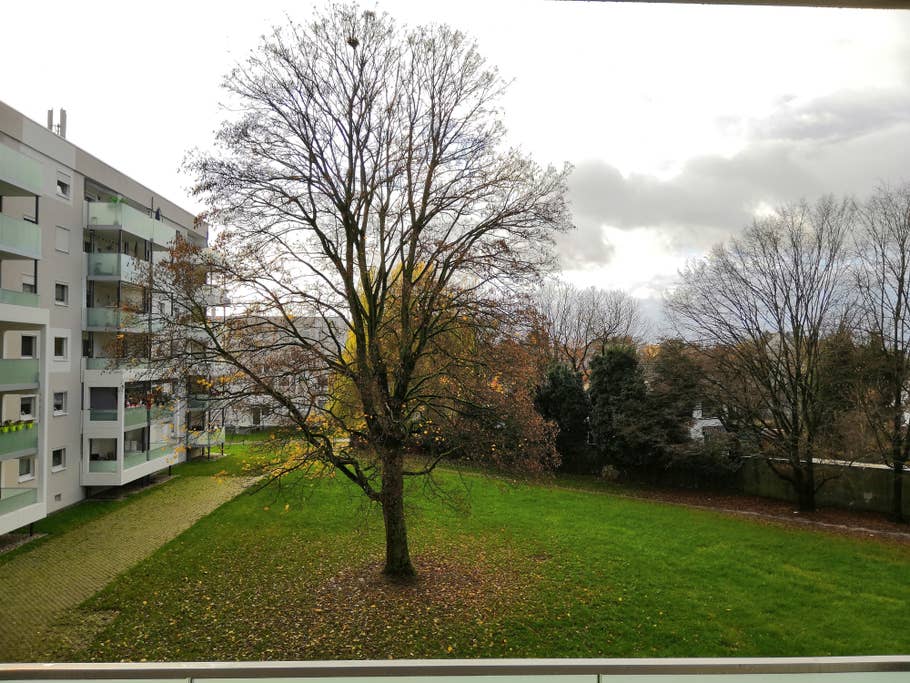 Ein Wohnblock mit einem Baum und Wiese davor, mit AI-Unterstützung fotografiert