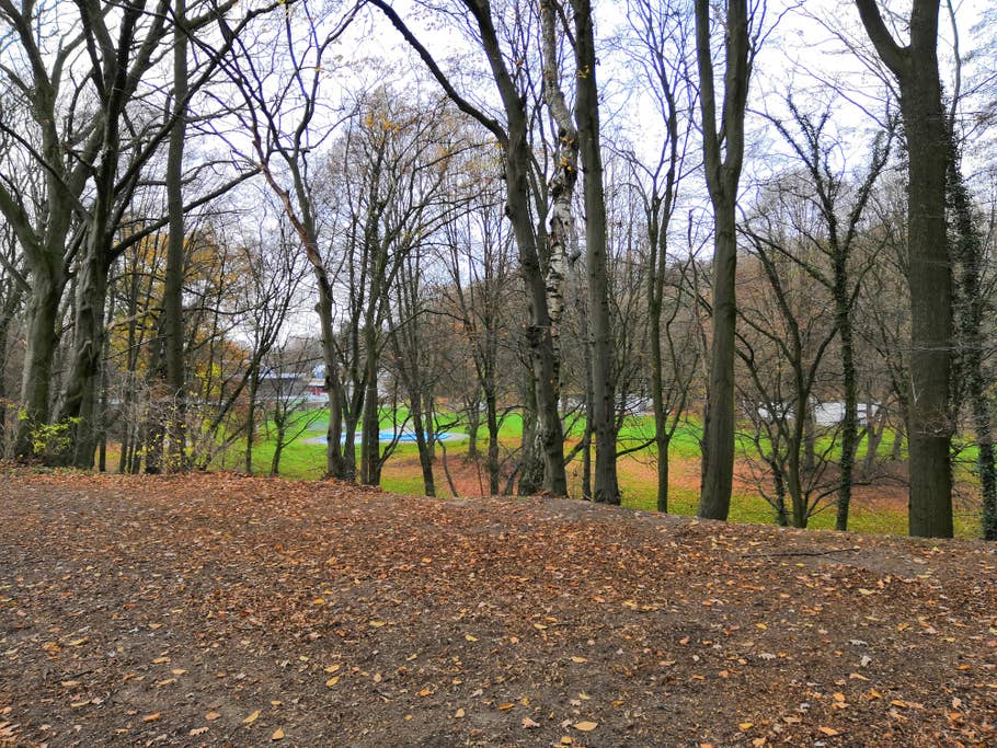 Bäume, die Blick auf eine Wiese geben, verbessert mit AI