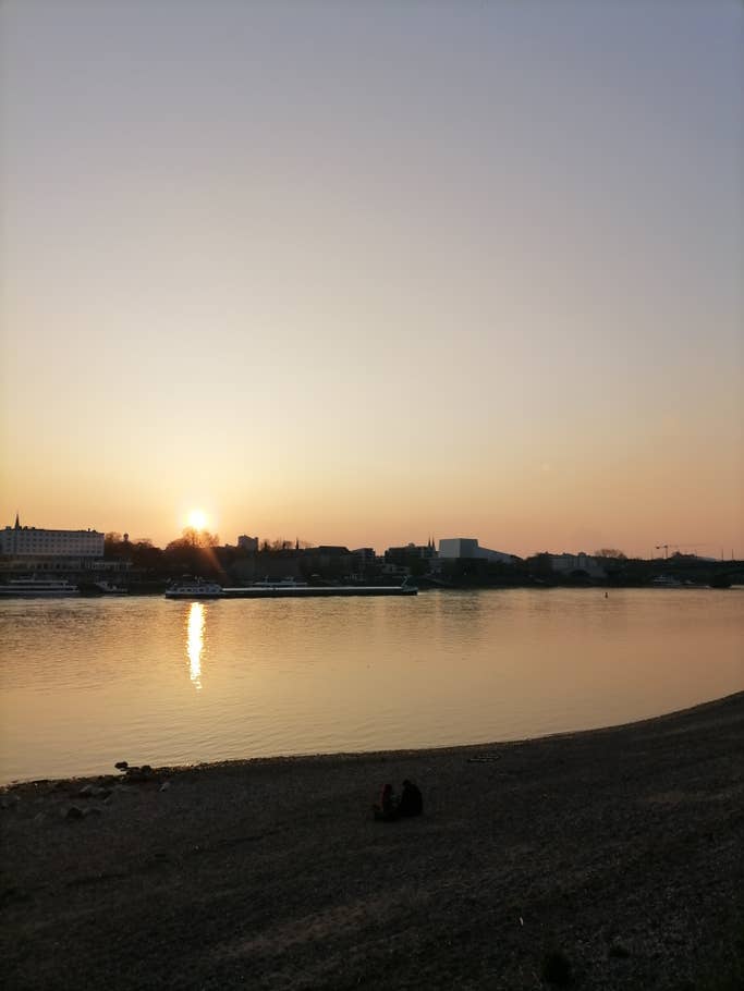 Ein Sonnenuntergang am Bonner Rheinufer mit einer Landschaft am Horizont.