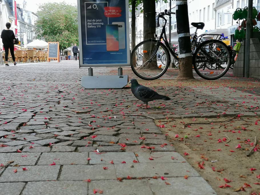 Foto, aufgenommen mit dem Huawei P30 Lite im Test