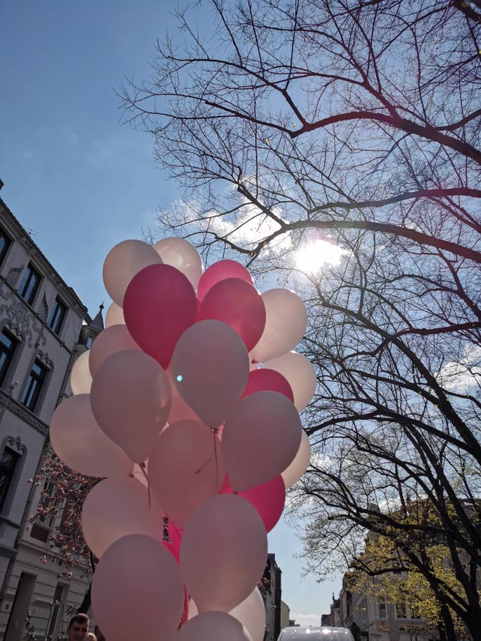 Luftballonbündel in Bonn