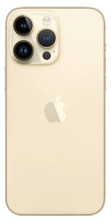 iPhone 14 Pro Max Rückseite