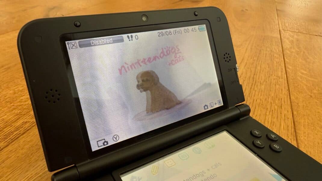Der obere Bildschirm eines Nintendo 3DS.