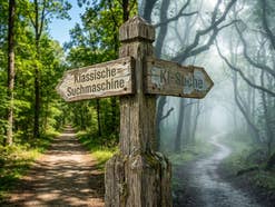 Eine Weggabelung im Wald mit einem Schild: Links 