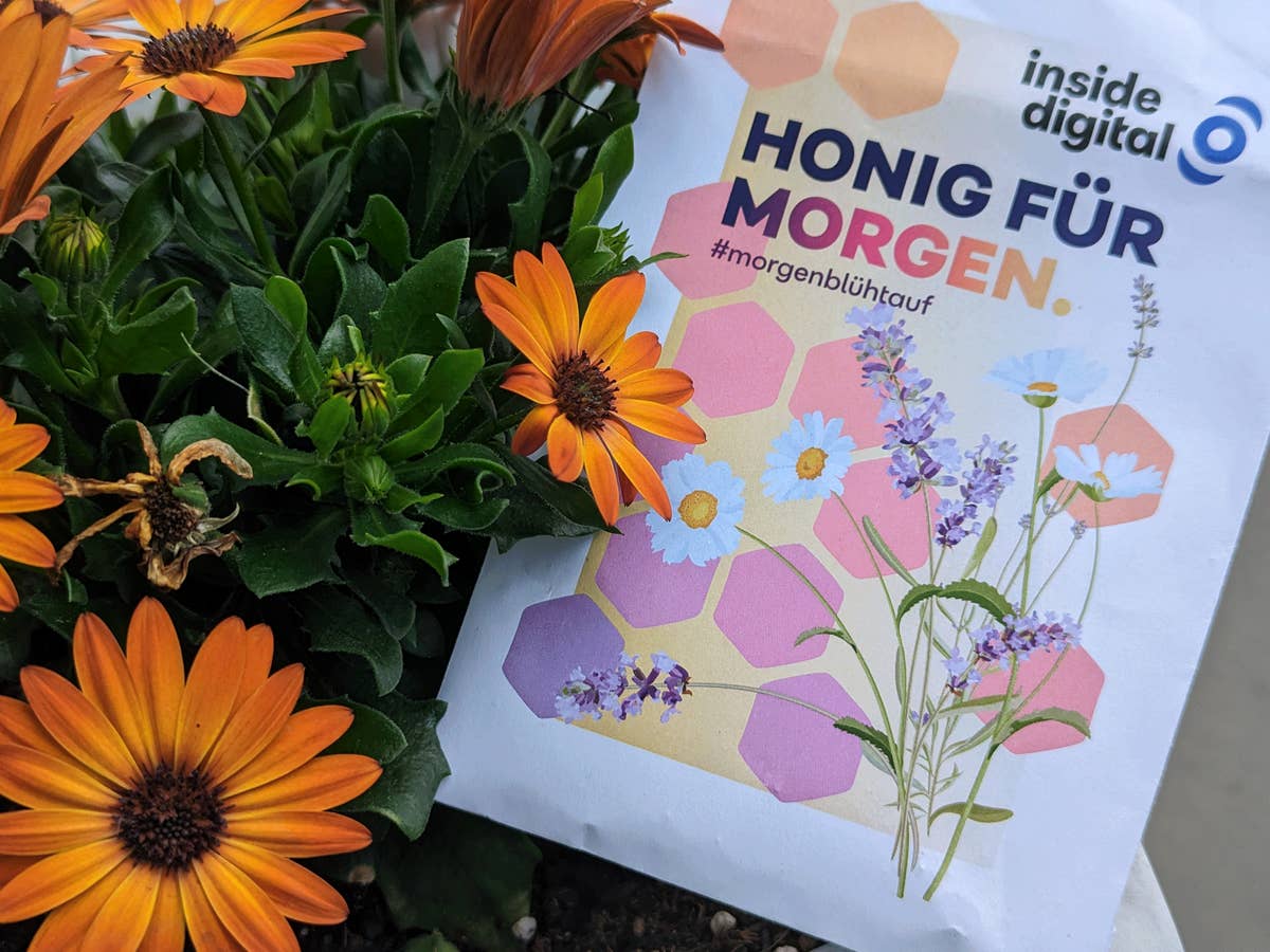 Honig für Morgen - das inside digital Samentütchen Honig für Morgen - das inside digital Samentütchen