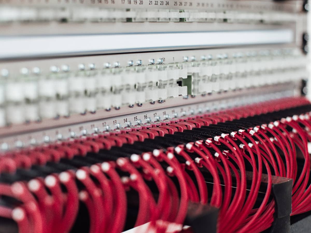 Deutschland stellt Internet-Rekord auf: Wie haben wir das geschafft? LAN-Kabel hängen an einem Server