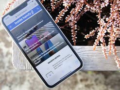 Apple iPhone XR Apple iPhone XR auf einer Pflanzbox