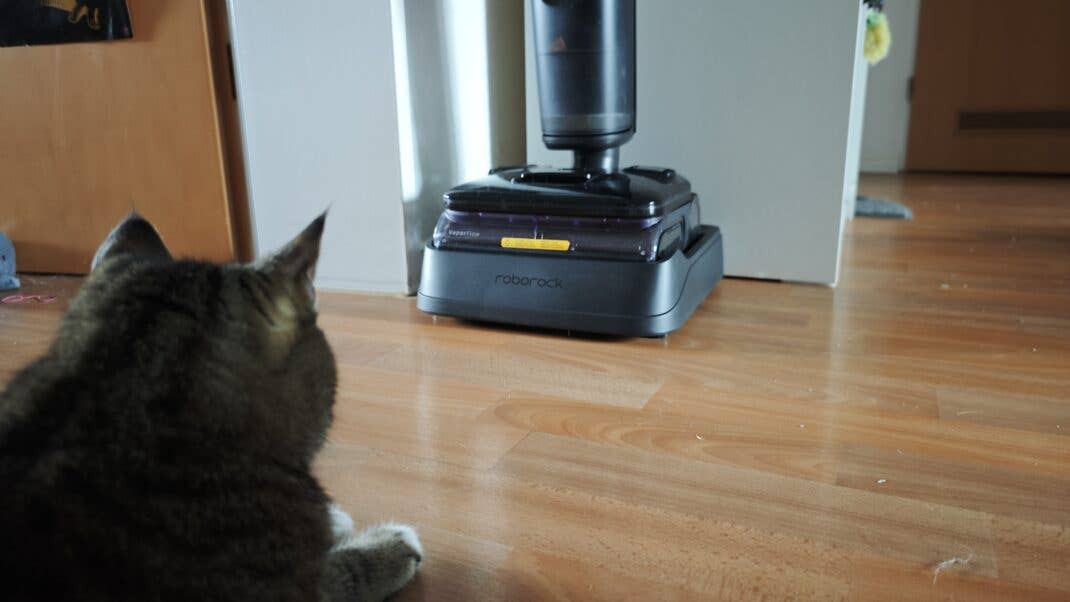 Der Roborock F25 Steam Nass-Trockensauger und eine Katze in einer Wohnung