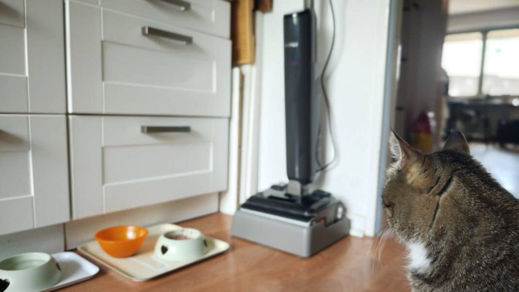 Der Eureka FloorShine830 in der Küche mit einem Kater und mehreren Katzenfutterschüsseln