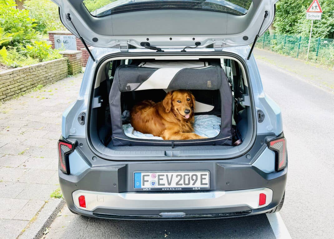 Kia EV2 mit Hundebox im Kofferraum.