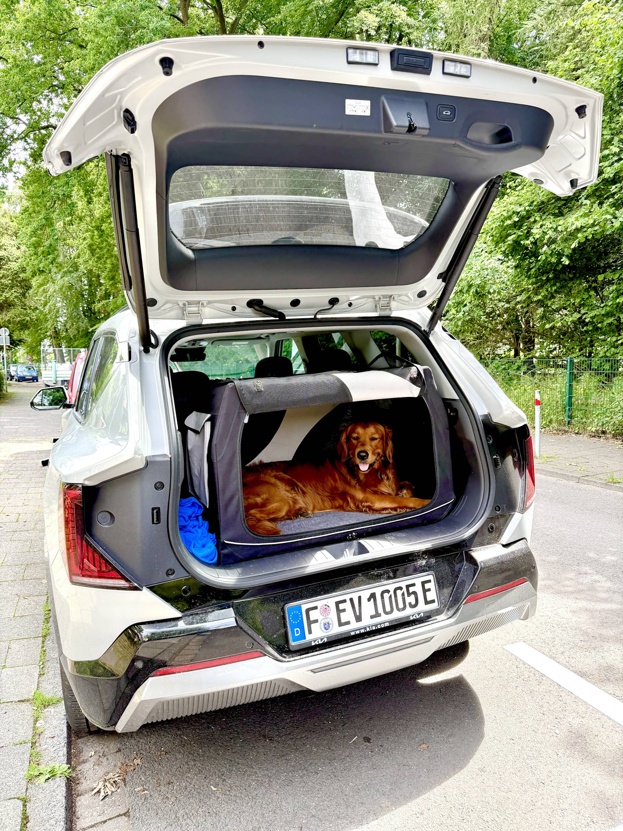 Kia EV5 mit Hundebox im Kofferraum.