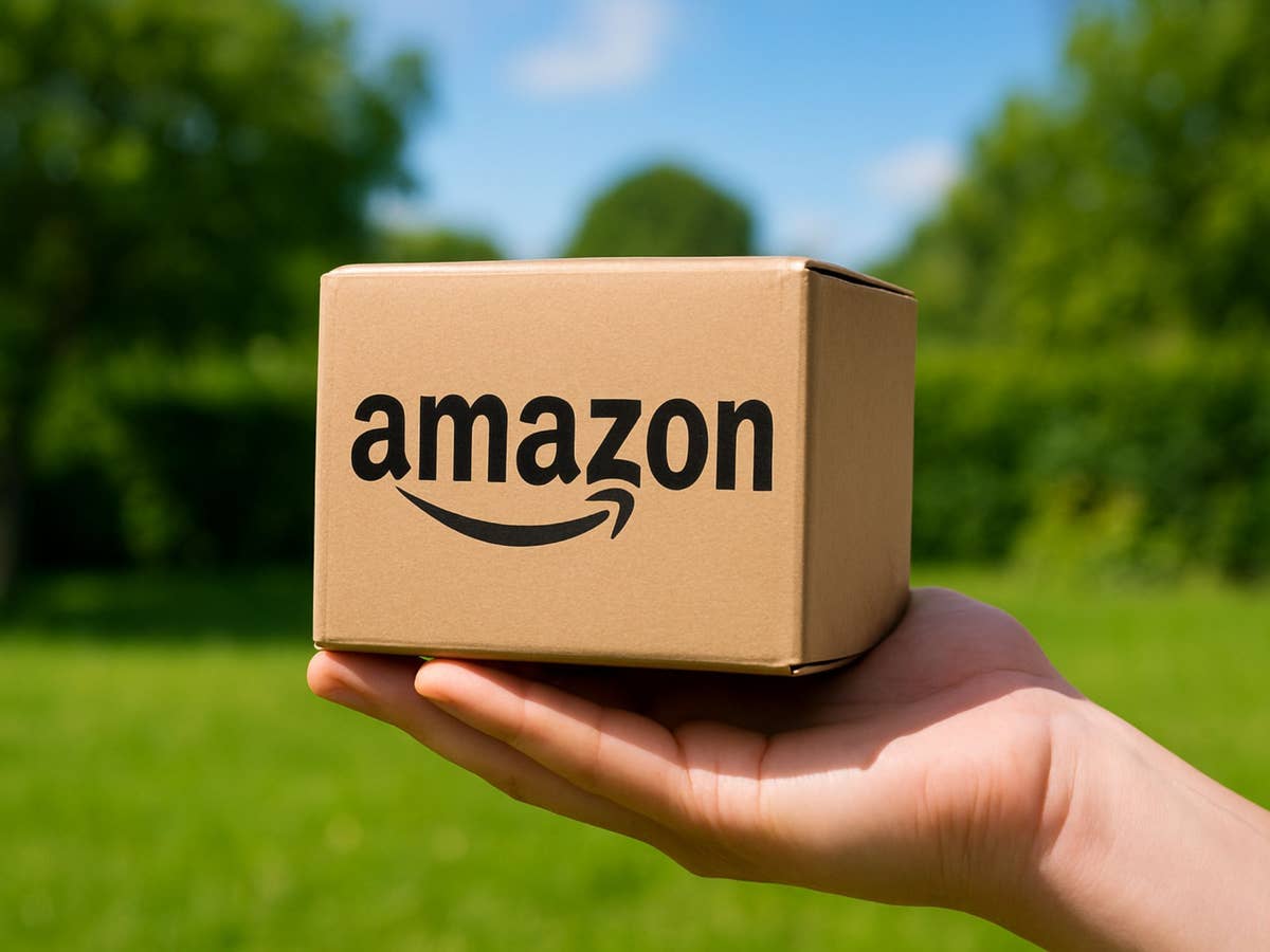 Kleines Amazon-Paket wird von einer Person im Garten gehalten