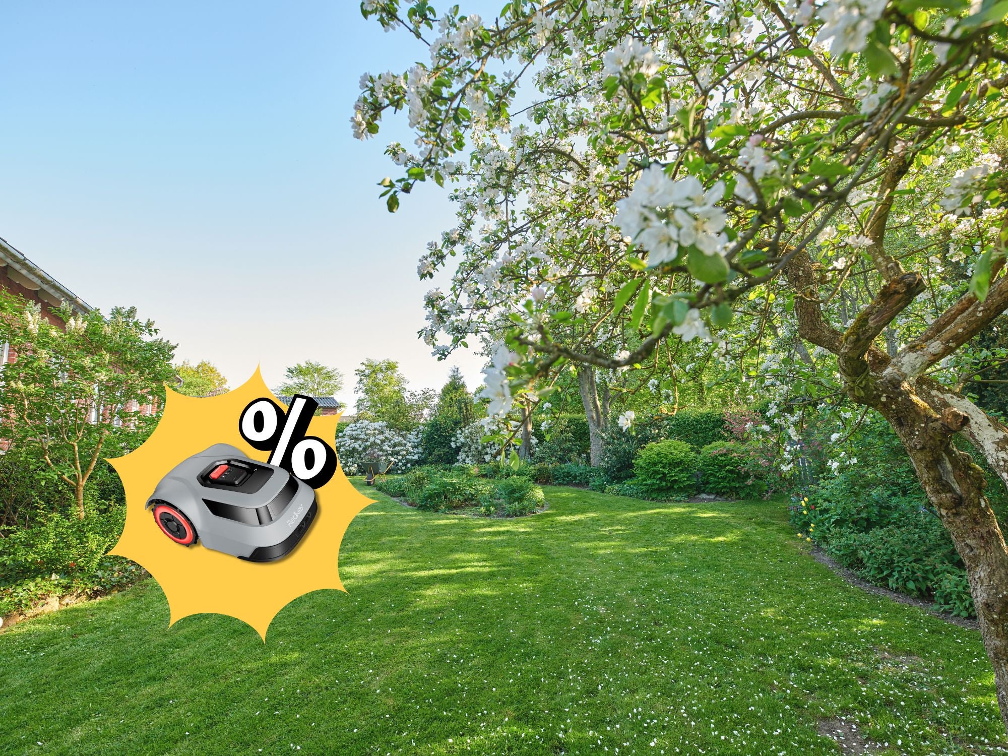 Amazon haut Mähroboter zu Spitzenpreisen raus: Warum sich diese Modelle besonders lohnen