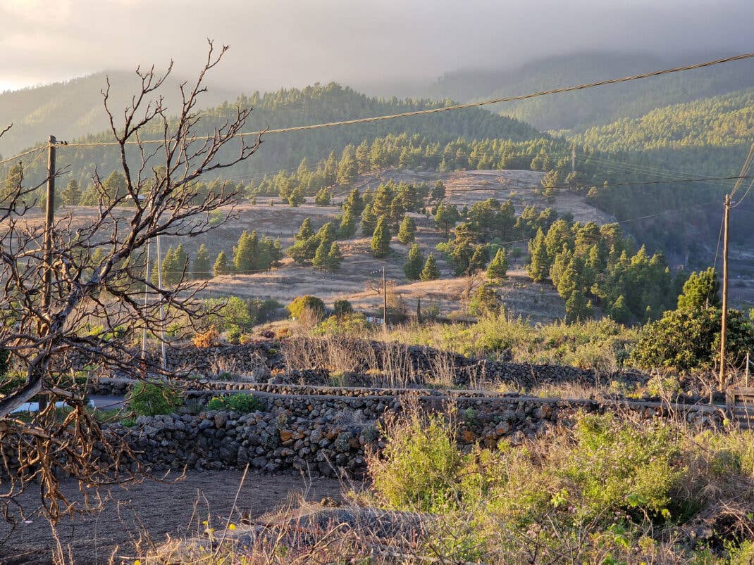 Landschaftsaufnahme: Fotografiert mit dem Galaxy S22 Ultra