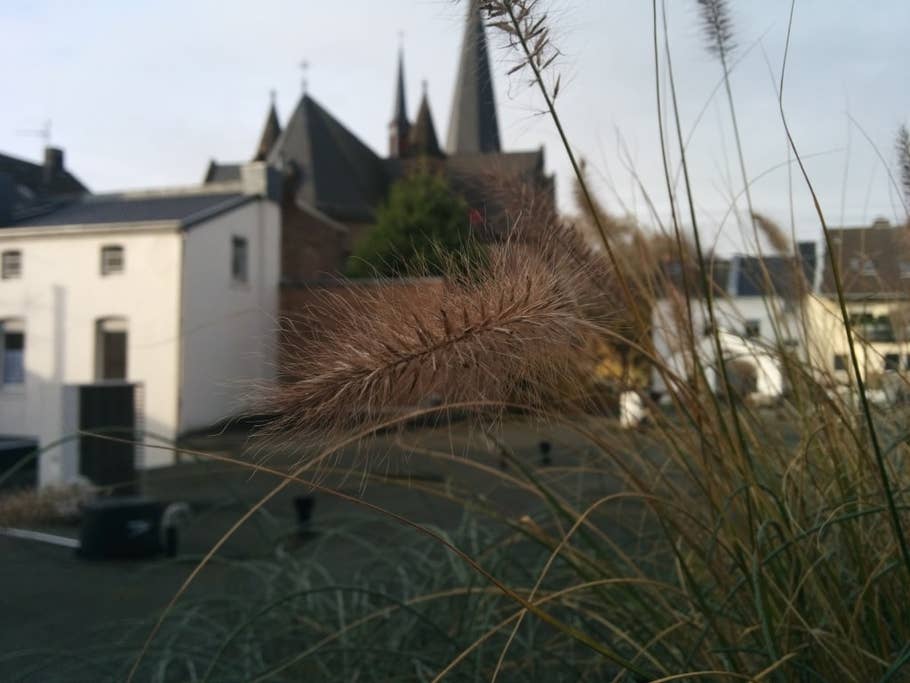 LG Google Nexus 5: Kamera-Test-Bilder