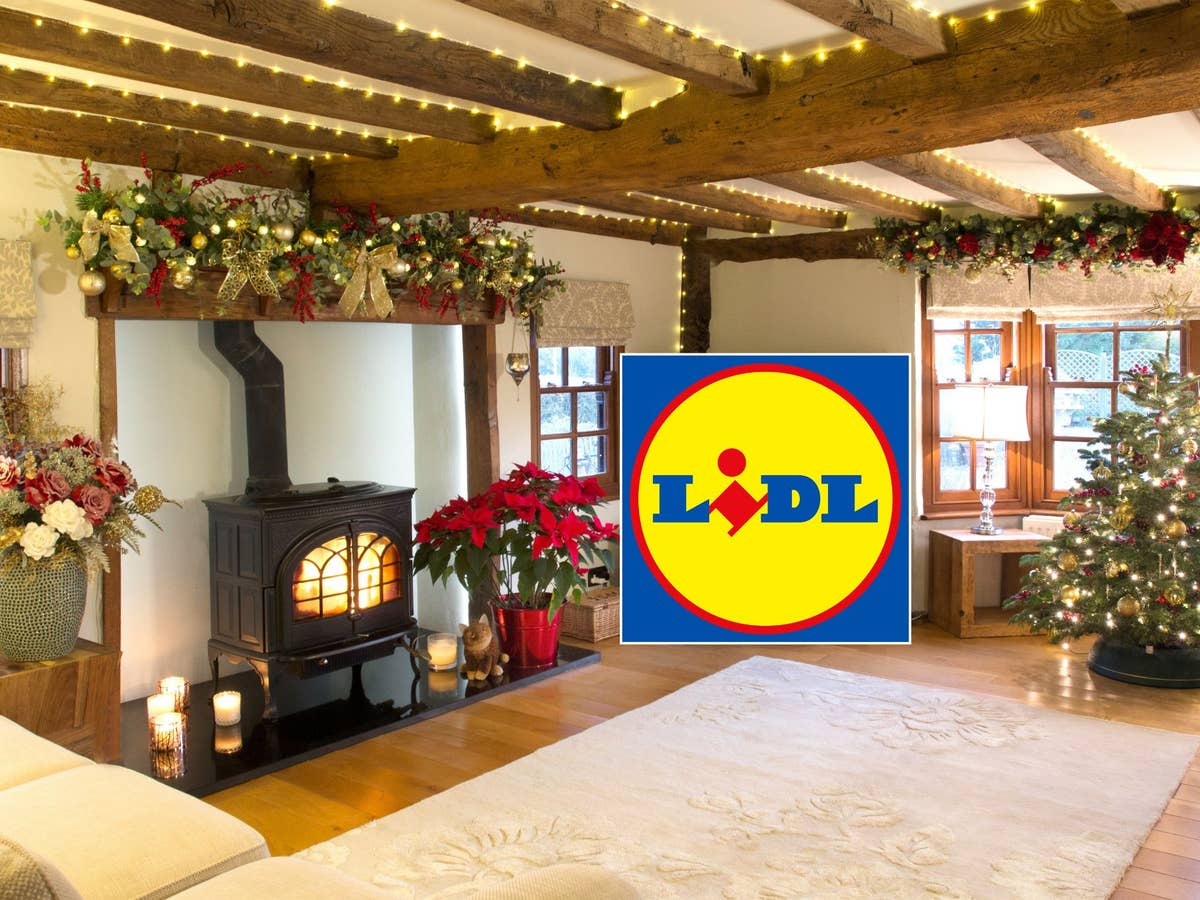 Lidl verkauft ab Montag (10.11.) diese Essentials günstig, die jeder in der Vorweihnachtszeit braucht Lidl verkauft ab Montag (10.11.) diese Essentials günstig, die jeder in der Vorweihnachtszeit braucht
