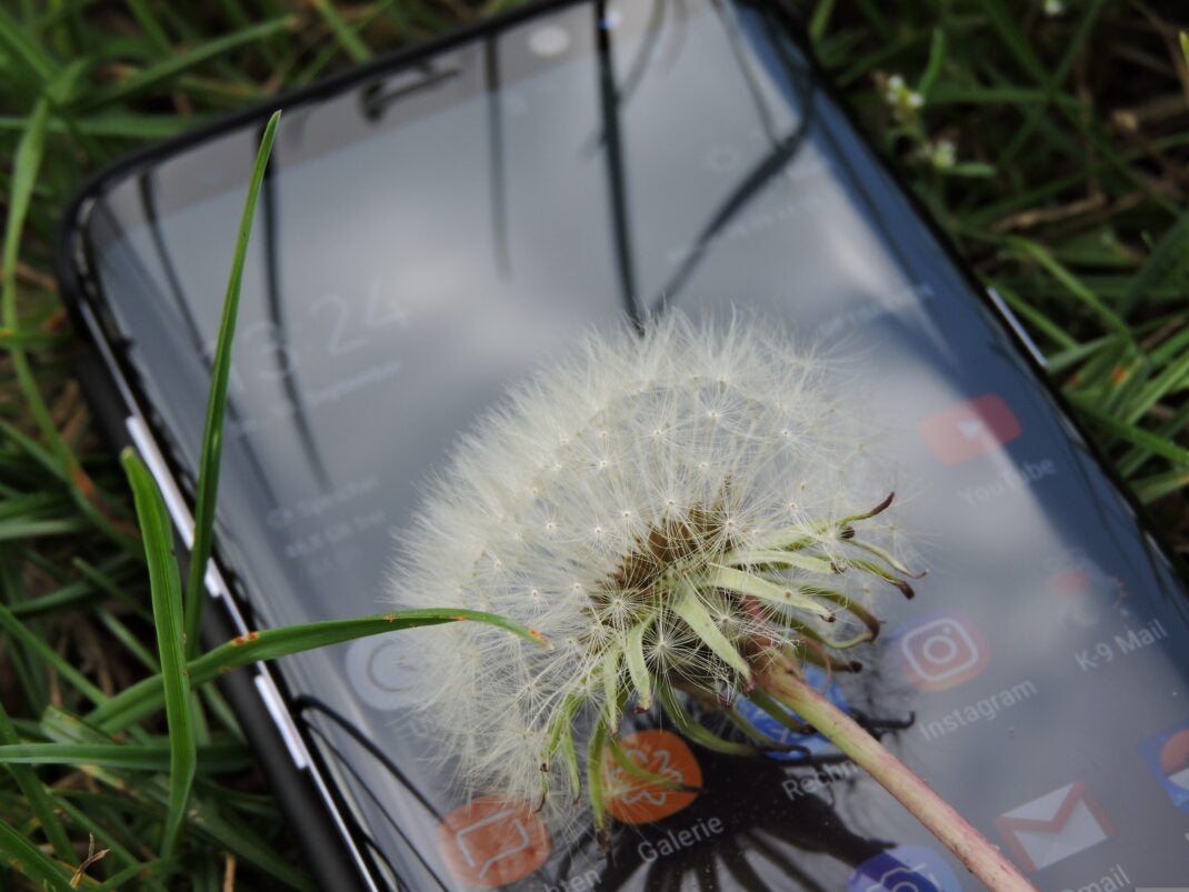Makrofotografie am Handy: So werden Makro-Bilder perfekt