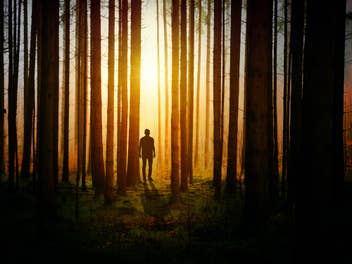 Ein Mann steht im Wald zwischen Baumstämmen, Sonnenlicht fällt auf ihn.