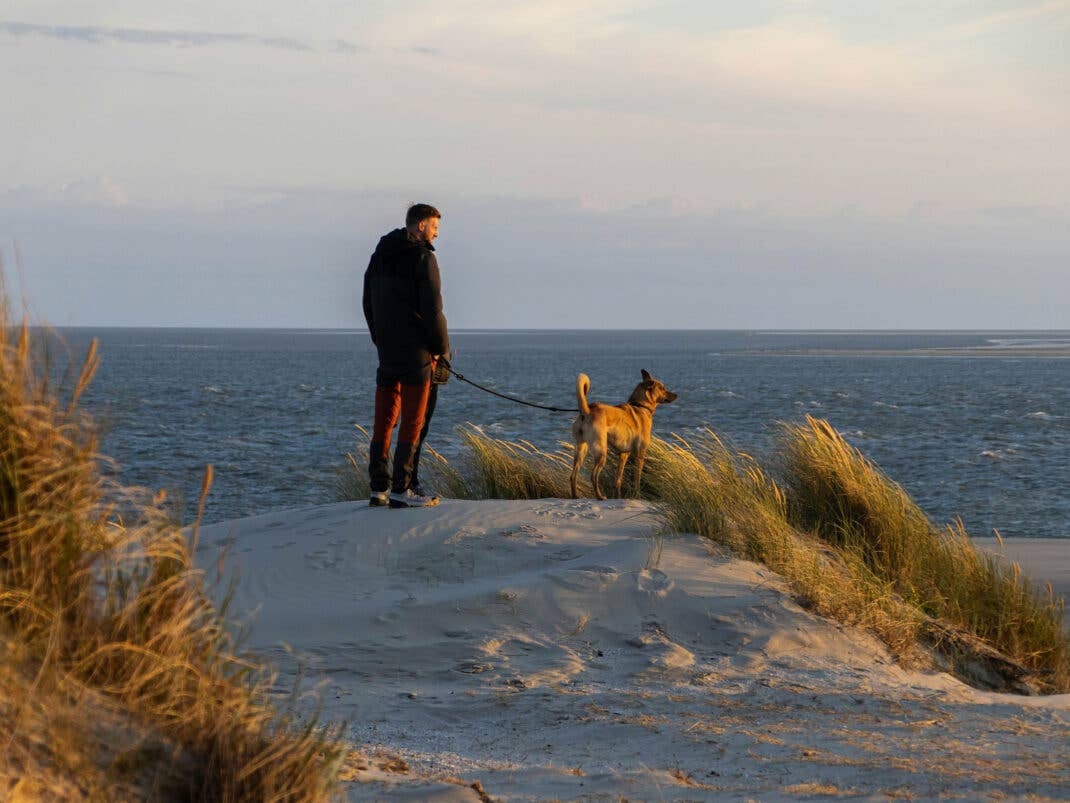 Mann mit Hund auf Düne am Sandstrand