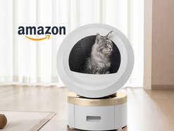 Katze sitzt im MeowgicPod LR10 Prime smarten Katzenklo, daneben das Amazon-Logo