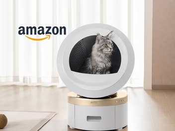 Katze sitzt im MeowgicPod LR10 Prime smarten Katzenklo, daneben das Amazon-Logo