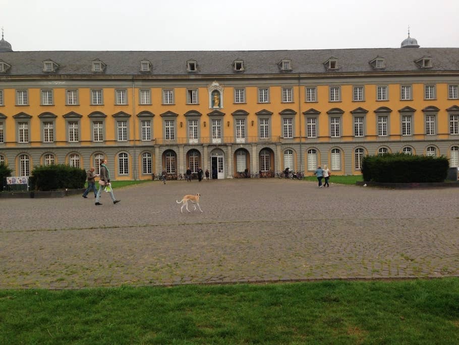 Mit dem iPhone 5c geschossene Testaufnahmen