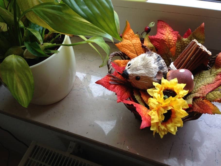 Mit dem iPhone 5c geschossene Testaufnahmen