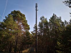Ein Mobilfunk-Sendemast im Wald