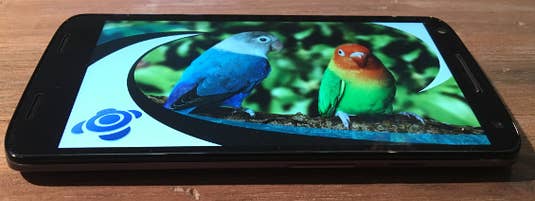 Moto X Force Blickwinkel Display Moto X Force Blickwinkel Display