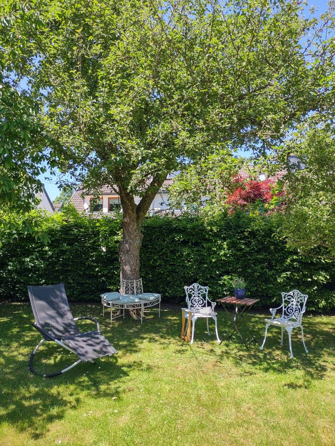 Die Fotos bieten starke und natürliche Farben. Ein grüner Garten mit Bestuhlung