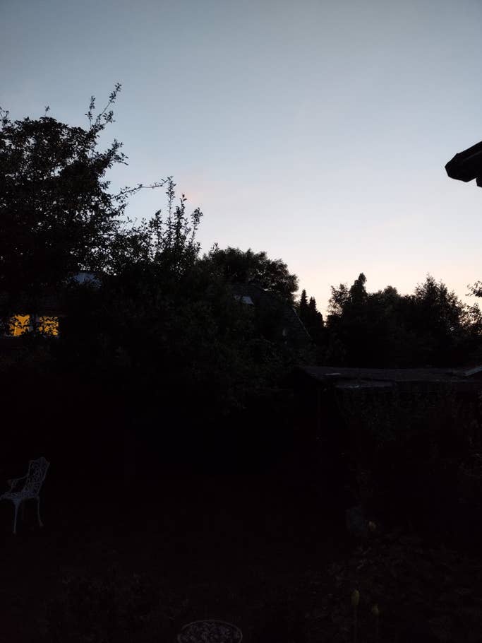 Im Standard-Fotomodus erkennt man bei Dämmerung so gut wie nichts mehr, nur der Himmel setzt sich deutlich ab. Baumsilhouetten im Dämmerlicht