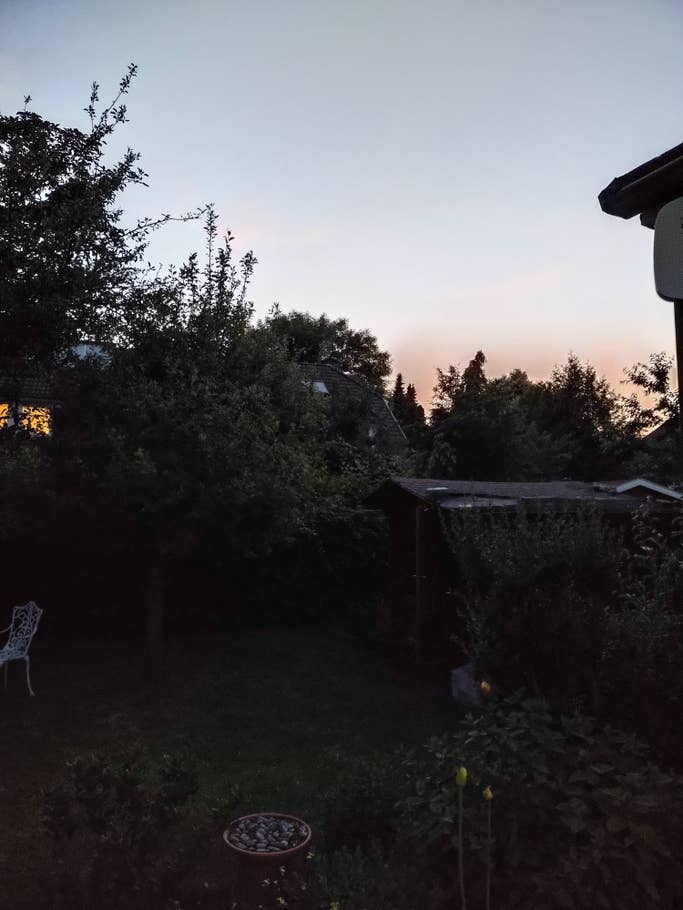 Der Nachtmodus kann einiges retten, aber das Motiv hellt er nicht richtig auf. Ein Garten bei Dämmerung fotografiert