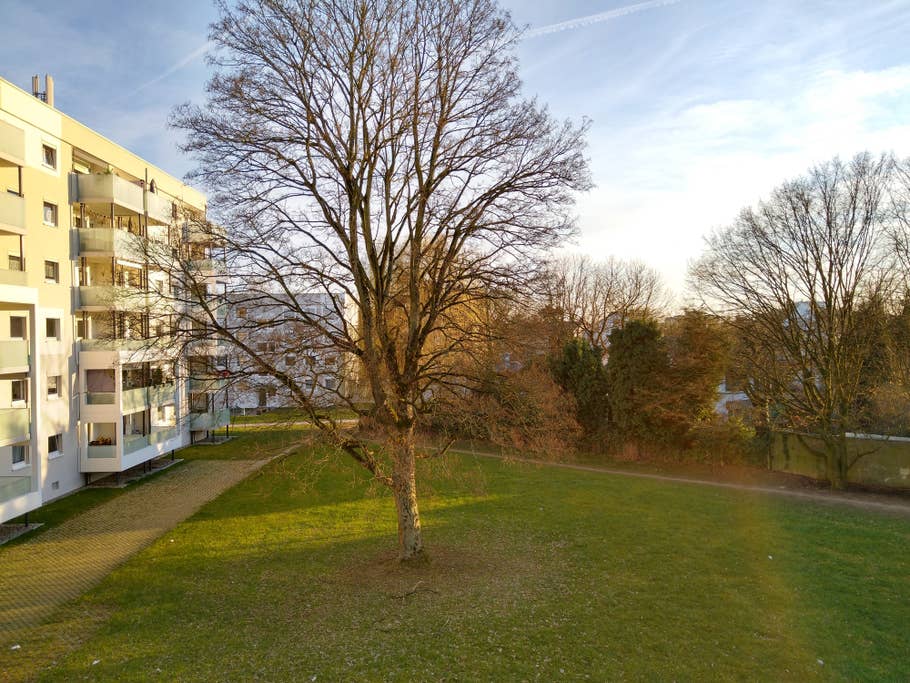 Baum und Gebäude beim Sonnenuntergang