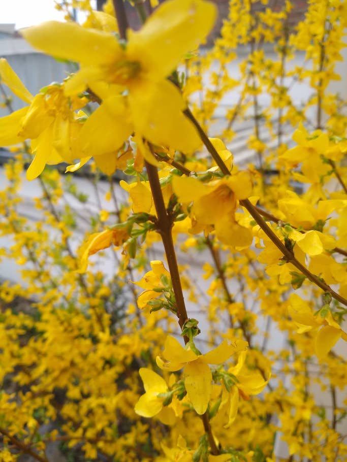 Motorola Moto G7 Testfotos