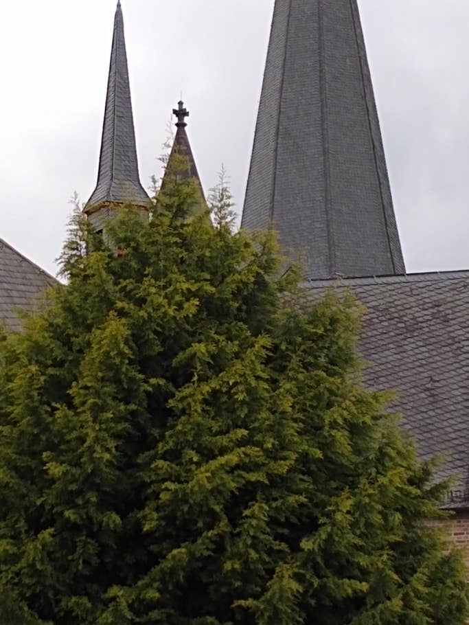 Motorola Moto G7 Testbilder