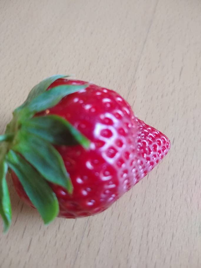 Motorola Moto G7 Testfotos