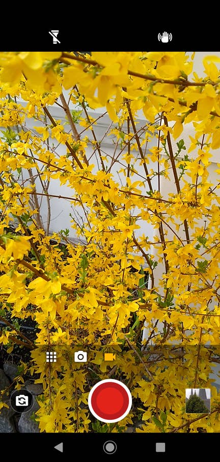 Motorola Moto G7 Kamera-App