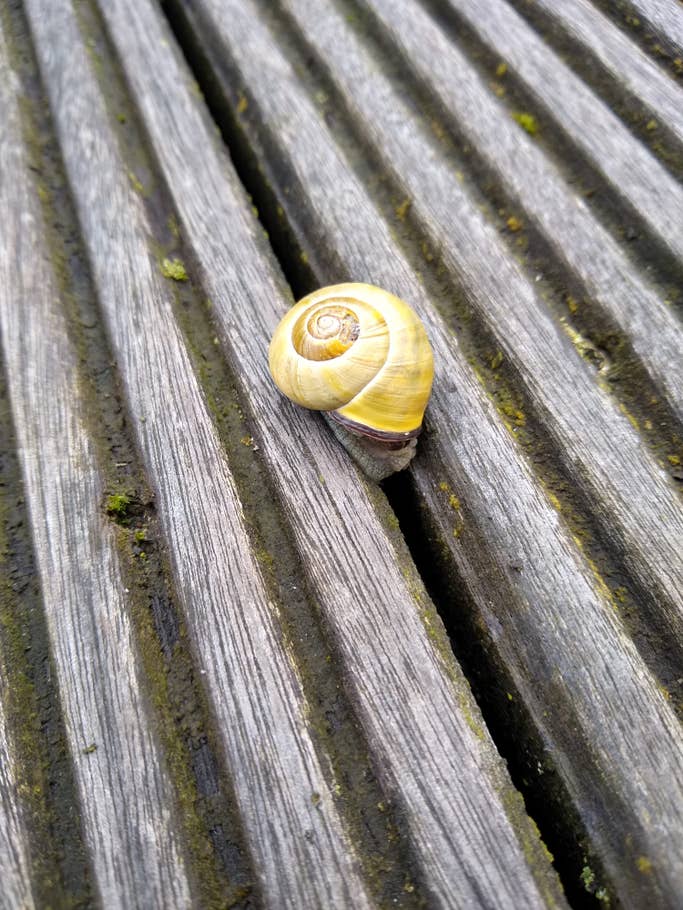 Motorola Moto G7 Testfotos