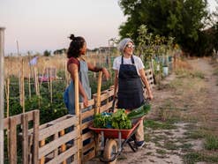 Must-haves für Balkon & Garten: So gelingt der Start in die Outdoor-Saison