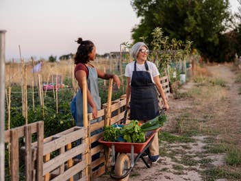 Must-haves für Balkon & Garten: So gelingt der Start in die Outdoor-Saison