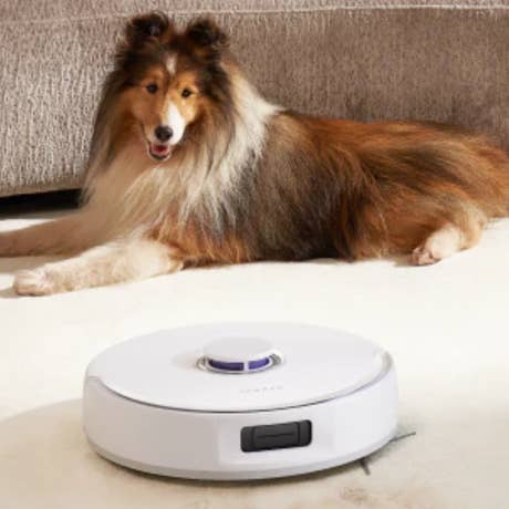 Foto: Saug-wisch-roboter Narwal Freo X10 Pro