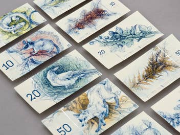 Neue Euro-Geldscheine: So könnte das Geld bald aussehen