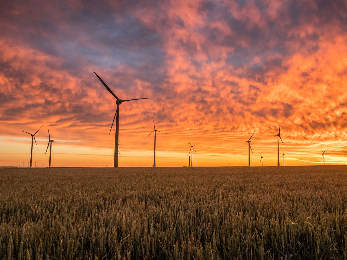 Neuer Rekord aufgestellt - So viel günstigen grünen Strom lieferten Erneuerbare