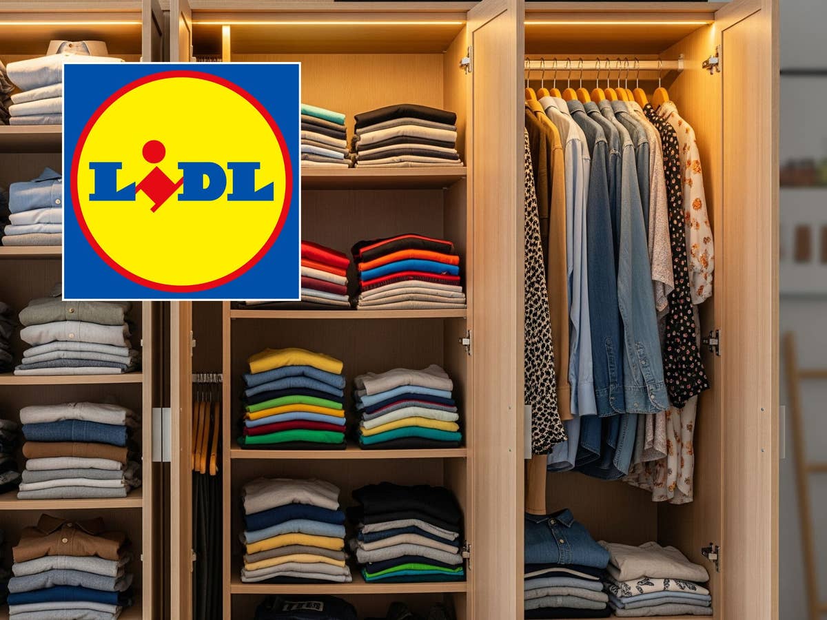 Nimmt nervige Arbeit ab: Wegen dieses Geheim-Gadgets rennen jetzt alle zu Lidl