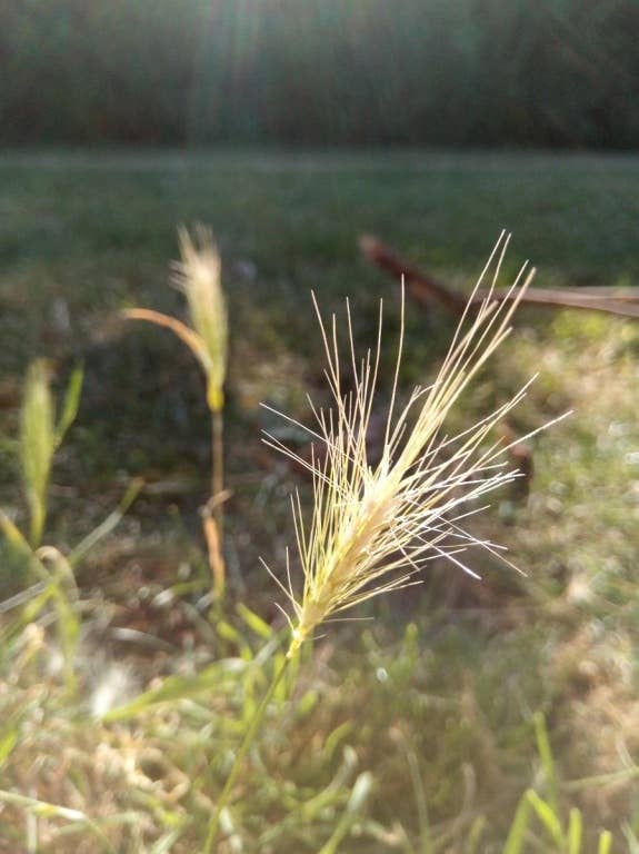 Nokia 3.1 im Test: Testfotos