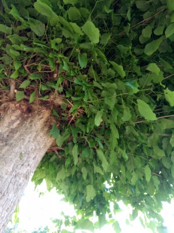 Nokia 3.1 im Test: Testfotos