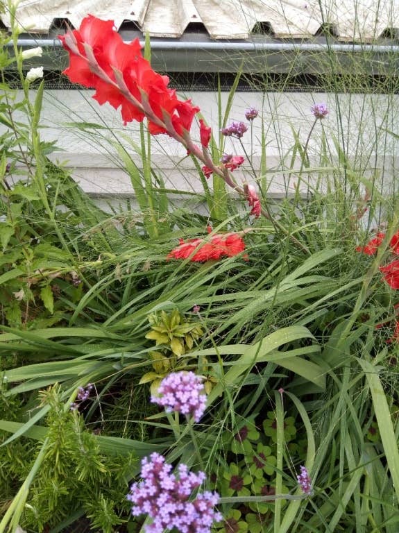 Nokia 3.1 im Test: Testfotos